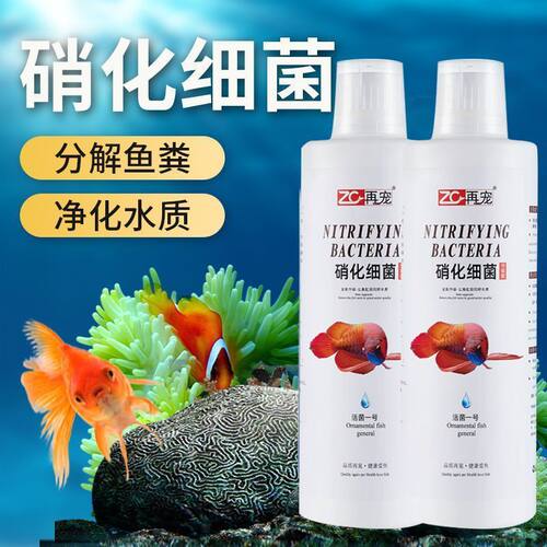 鱼缸硝化细菌开缸去除腥味水质净化打造空气缸分解鱼粪净化水质