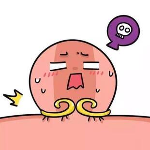 xian货可拍！法国菊花营养品专用海外版太宁20g/40g乳霜12枚栓剂