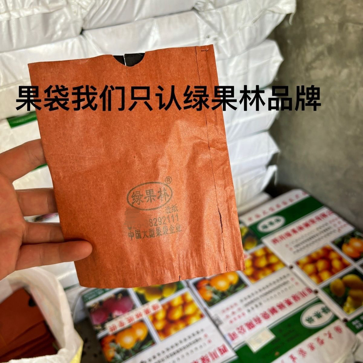 炎陵黄桃绿果林果袋专业适桃梨苹果加厚防水防鸟虫育果保护袋包邮