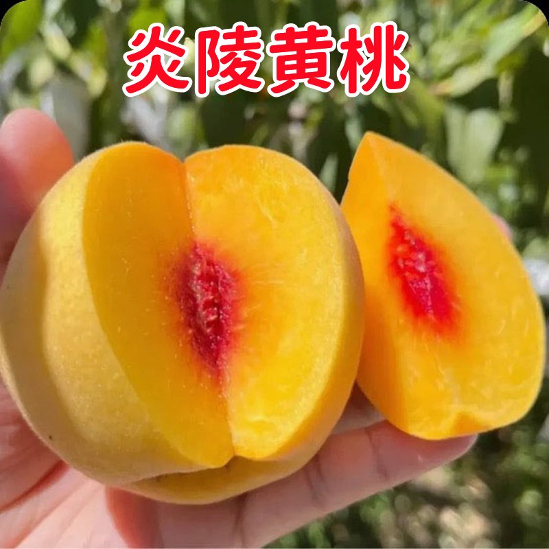 【顺丰快递】正宗炎陵黄桃湖南株洲高山红心新鲜脆甜头茬果礼盒装
