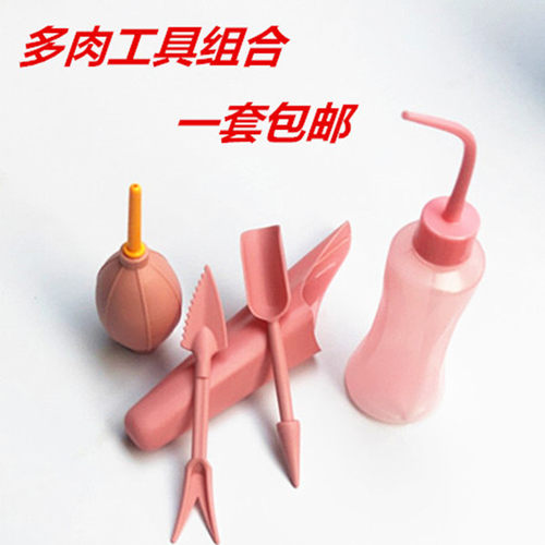 种植小工具好质量多肉种植