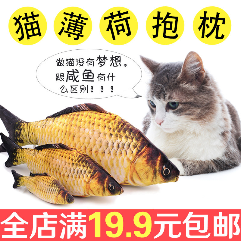 逗猫棒猫玩具仿真鱼自嗨猫薄荷假鱼磨牙小鱼宠物猫咪用品逗猫玩具,宠物/宠物食品及用品,逗猫棒,淘宝优惠券,粉丝福利购,淘宝优惠卷