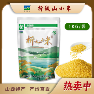山西黄小米析城山特产新米阳城红苗谷小米石碾绿色认证杂粮小米粥