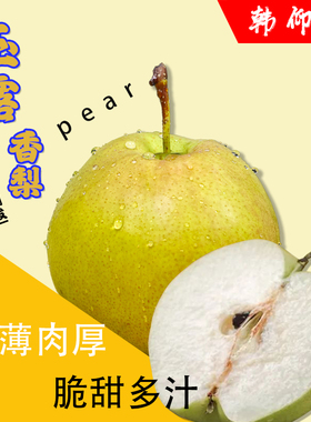 山西运城酥梨皮薄酥脆无渣水大玉露香梨当季现摘水果非隰县玉露香