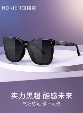 海俪恩GM墨镜复古新款潮女高级感ins太阳眼镜大框显瘦显脸小N8107