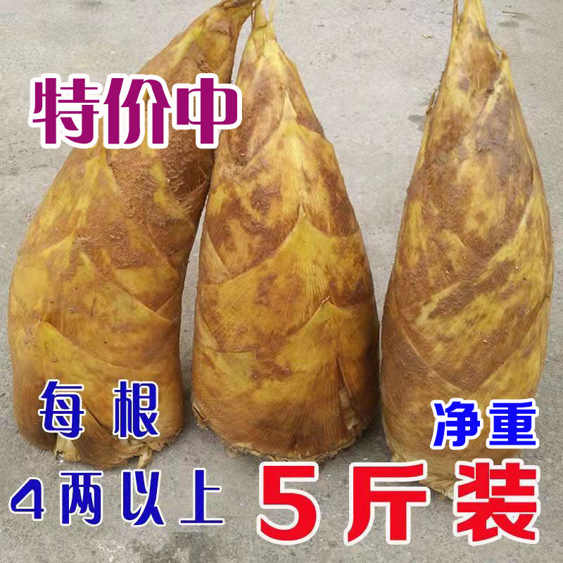 冬笋新鲜冬笋新鲜春笋现挖冬笋春笋江西黄泥笋雷笋楠山竹笋毛竹笋