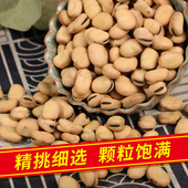 罗汉豆胡豆特大蚕豆种籽散装 生蚕豆新鲜嫩散装 5斤农家种子干