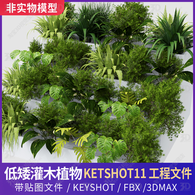 苔藓蕨类石头岩石植物绿植3D三维模型素材KEYSHOT工程文件植被