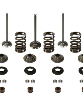 CF188全地形沙滩车ATV/UTV春I风CF500气门组件套件气门油封弹簧片