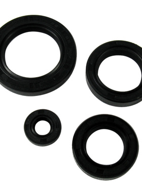 适用春风CH250大沙CH125/150cc全车油封水冷大绵羊动力气门油封