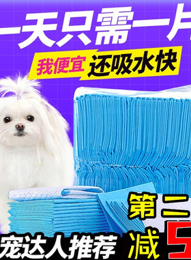 宠物尿垫狗狗尿片100加厚除臭
