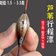 60CM带壳芦苇鸽子蛋行程浮漂黑坑鲫鱼鲤鱼草鱼漂轻口细尾加粗醒目