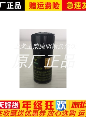 DCEC东风康明斯空气阻力指示器 1W613M