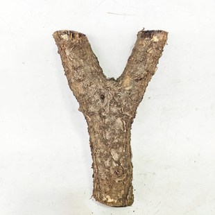 火琉璃弹弓麻梨疙瘩倒流香底座敲背锤拐杖木料手串原木根雕崖柏