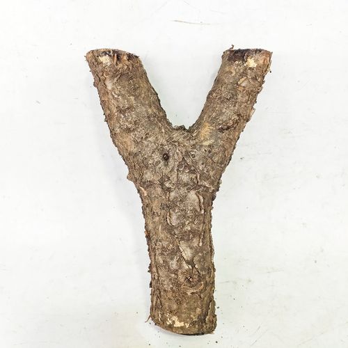 火琉璃弹弓原木原产地新料下山