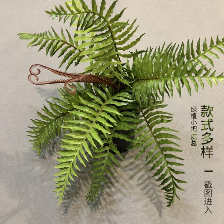 仿真手感蕨类植物波斯草绿植仿真家居婚庆装饰植物墙花材