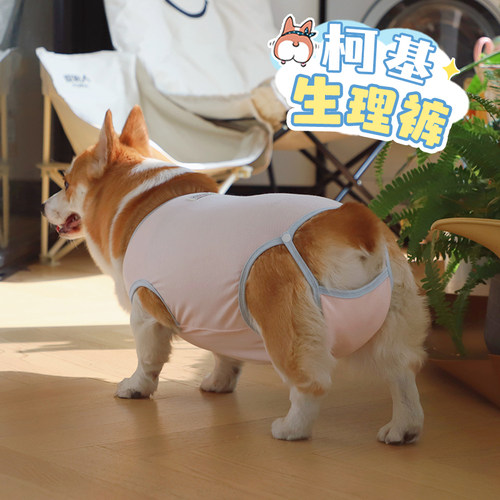 柯基生理裤！婴儿棉，全包防侧漏