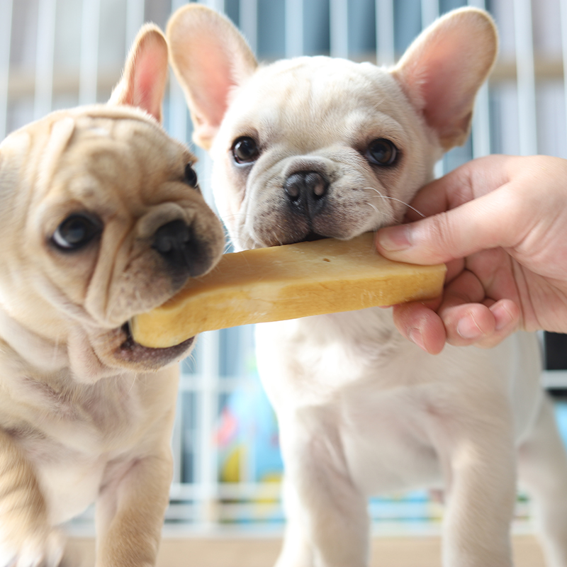 布鲁莱克奶酪棒狗狗幼犬法斗补钙