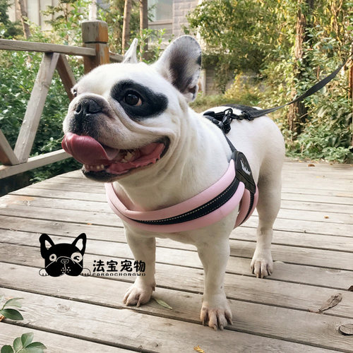 法斗定做胸背三角中型犬牵引绳
