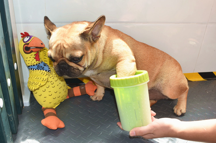 法斗美国dexas神器脚掌宠物狗狗