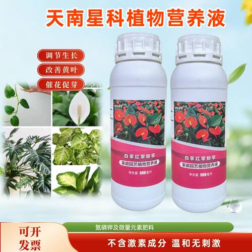 天南星科植物营养液白掌海芋蔓绿绒水培盆栽绿植专用浓缩水溶花肥