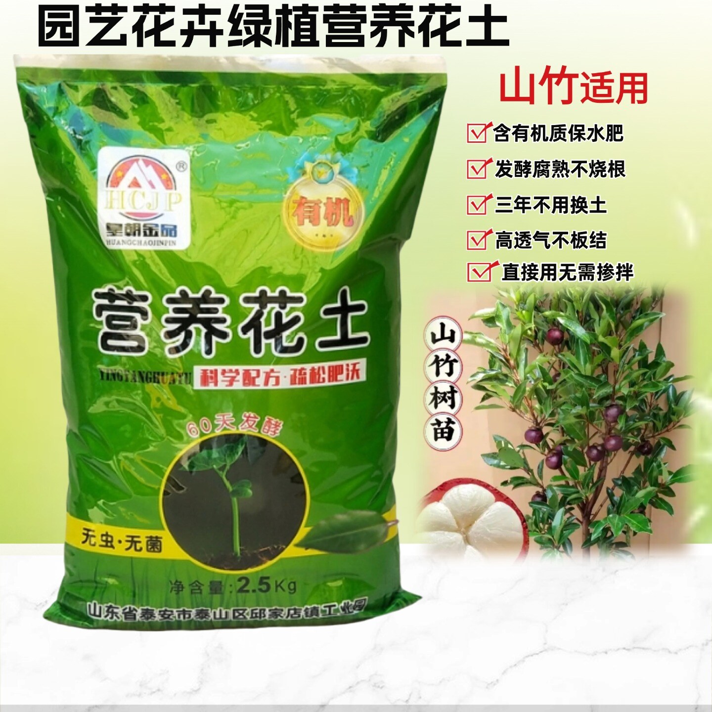 山竹树苗地栽盆栽营养花土有机土图片