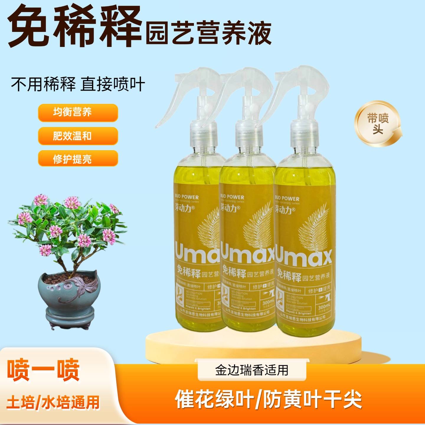 瑞香花金边瑞香免稀释专用营养液室内老桩盆栽植物专用喷施叶面肥图片