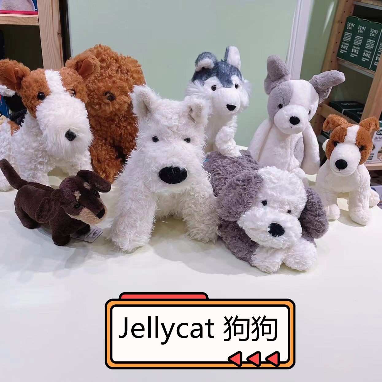 JELLYCAT猫猫狗狗毛绒玩具礼物