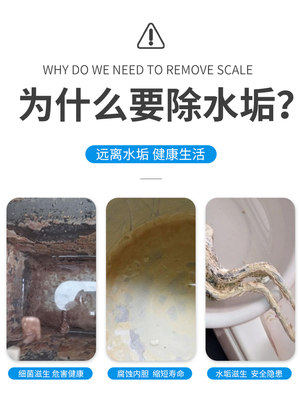 水垢清除强力除垢剂蒸锅炉开水器专用除垢剂去茶渍茶垢家用电水壶