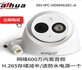 大华摄像机DH-IPC-HDW4631C-A