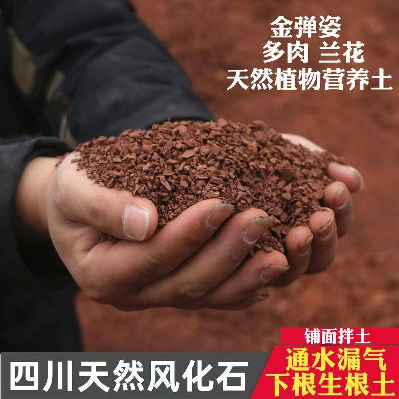 风化土营养土盆栽种植土透气易活