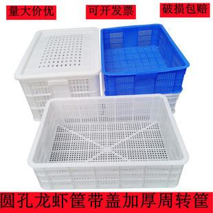 龙虾筐小圆孔密眼鸡鸭苗筐带盖胶框塑料周转筐青蛙有盖收纳整理筐