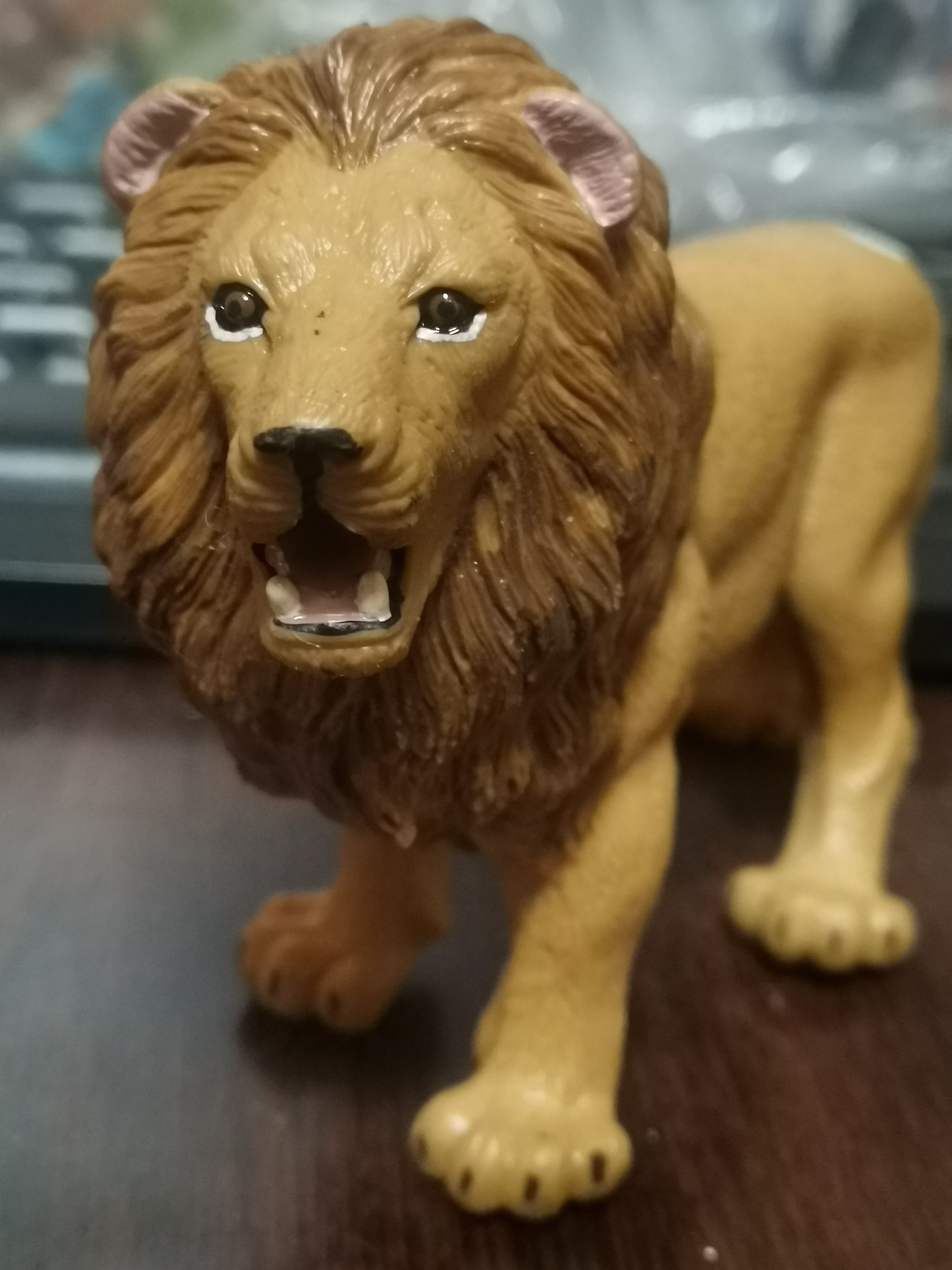 绝版货大号safari仿真野生动物安哥拉雄狮公狮子模型摆件玩具收藏