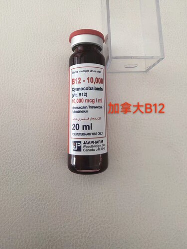 加拿大进口b12 赛马专用高浓度b12 补充能量增加红细胞增强耐力