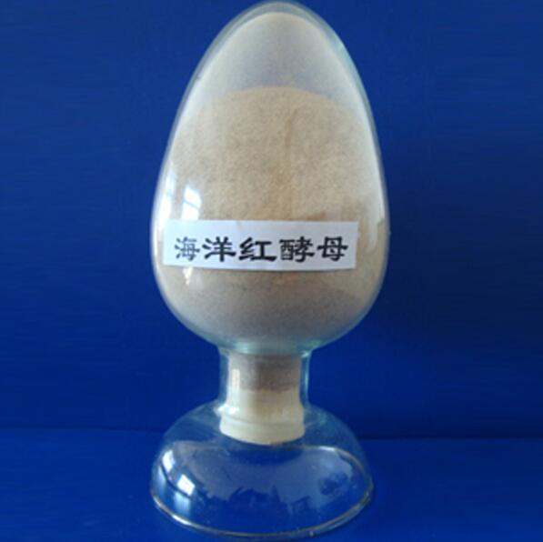 海洋红酵母 养殖水产类 虾青素开口饵料水产酵母粉酵母菌轮虫培育