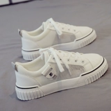 Tide, кроссовки, летняя дышащая обувь, тонкие туфли, коллекция 2023