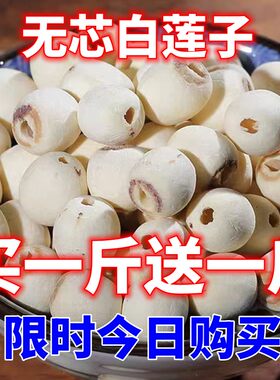 无芯白莲子500g新货大粒去芯磨皮白莲子干货特级无硫湘潭莲子包邮