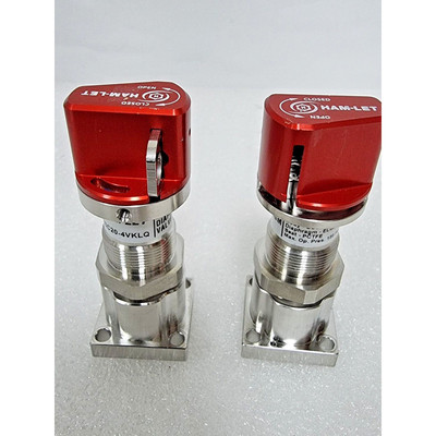 批量 2 件 HAM-LET HMSC20-4VKLQ 手动隔膜阀,二手,*96611