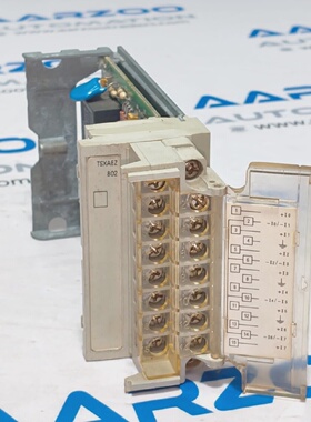 Schneider Automatisierung Tsx AEZ 802 8CURRENT Analog Eingan