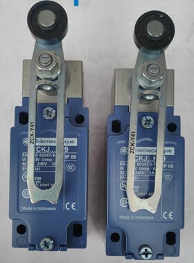 TELEMECANIQUE XCKJ10541H29 限量开关