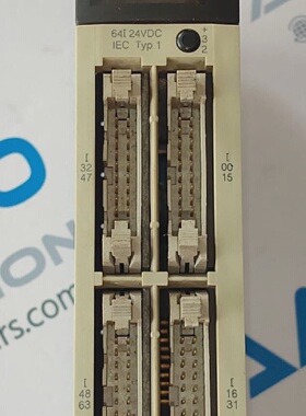 SCHNEIDER ELECTRIC TSXDEY64D2K Modicon Premium Modulo Discre