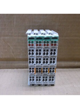 Système D'Entrée Analogique 2 Canaux WAGO PLC 750-478 7504