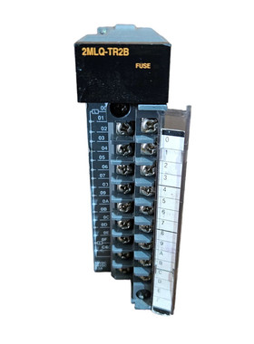 HONEYWELL 2MLQ-TR2B MASTERLOGIC-200 变速器输出模块 DC12/24V