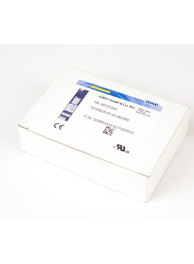 Jumo 701052/8-01-02-00/000 00721265 温度控制器