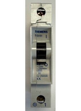 Siemens Leitungsschutzschalter / 220V DC / 230/400 AC / 5SX5