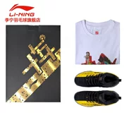 2019 mới Li Ning kỷ niệm 10 năm giày cầu lông chuyên nghiệp giày thi đấu giảm xóc - Giày cầu lông