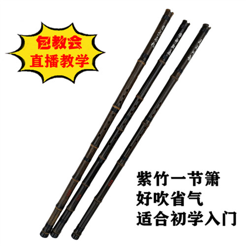 管子先生紫竹一节洞箫