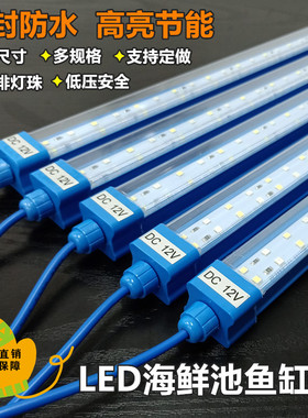 12V海鲜池鱼缸灯LED灯防水鱼缸LED照明灯需外接变压器电源方可用