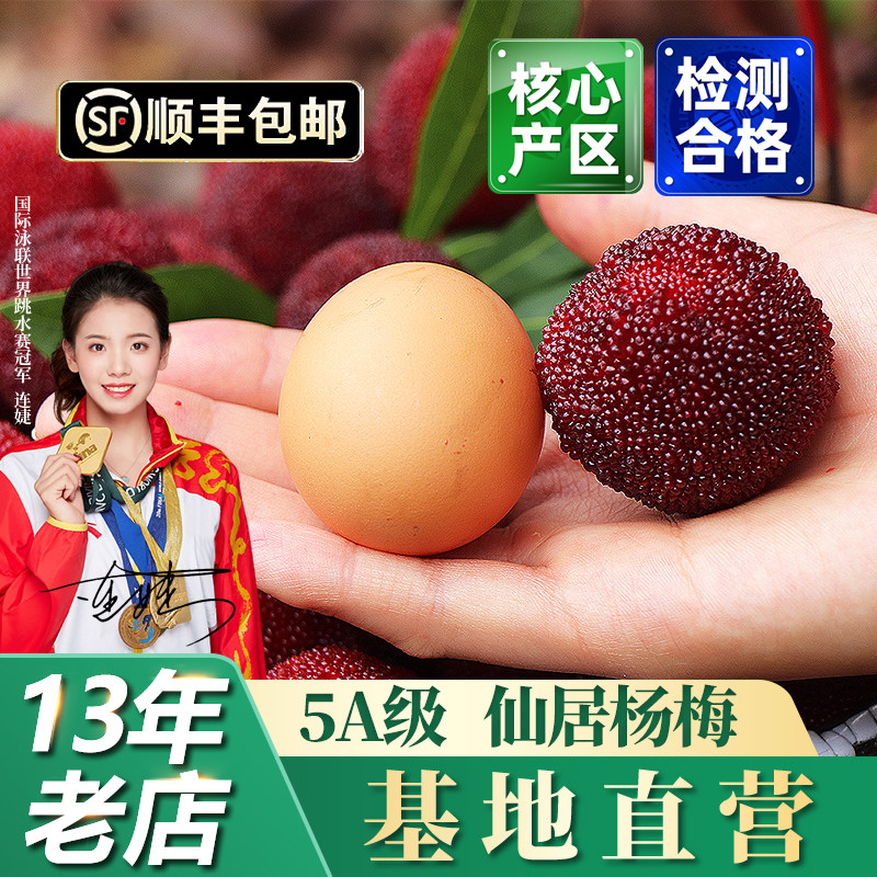 仙居杨梅东魁大杨梅皇特级新鲜水果浙江当季高山现摘现发礼盒装