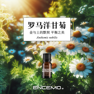 ENCEMO罗马洋甘菊单方精油香氛